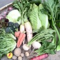 <Agriculture support project>  “Vegetable wastes” : The celery, cabbage, broccoli, carrot, why not on the market?