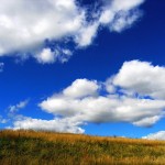 すべての管理職が共通してやるべきことは、５つしかない。