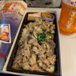 東京駅で売られる、最安でちっぽけな駅弁の話